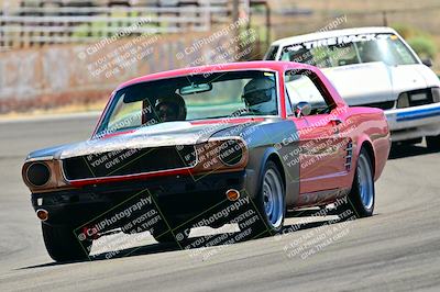 media/May-11-2025-Cobra Club (Sun) [[44ca44ec33]]/Passenger/